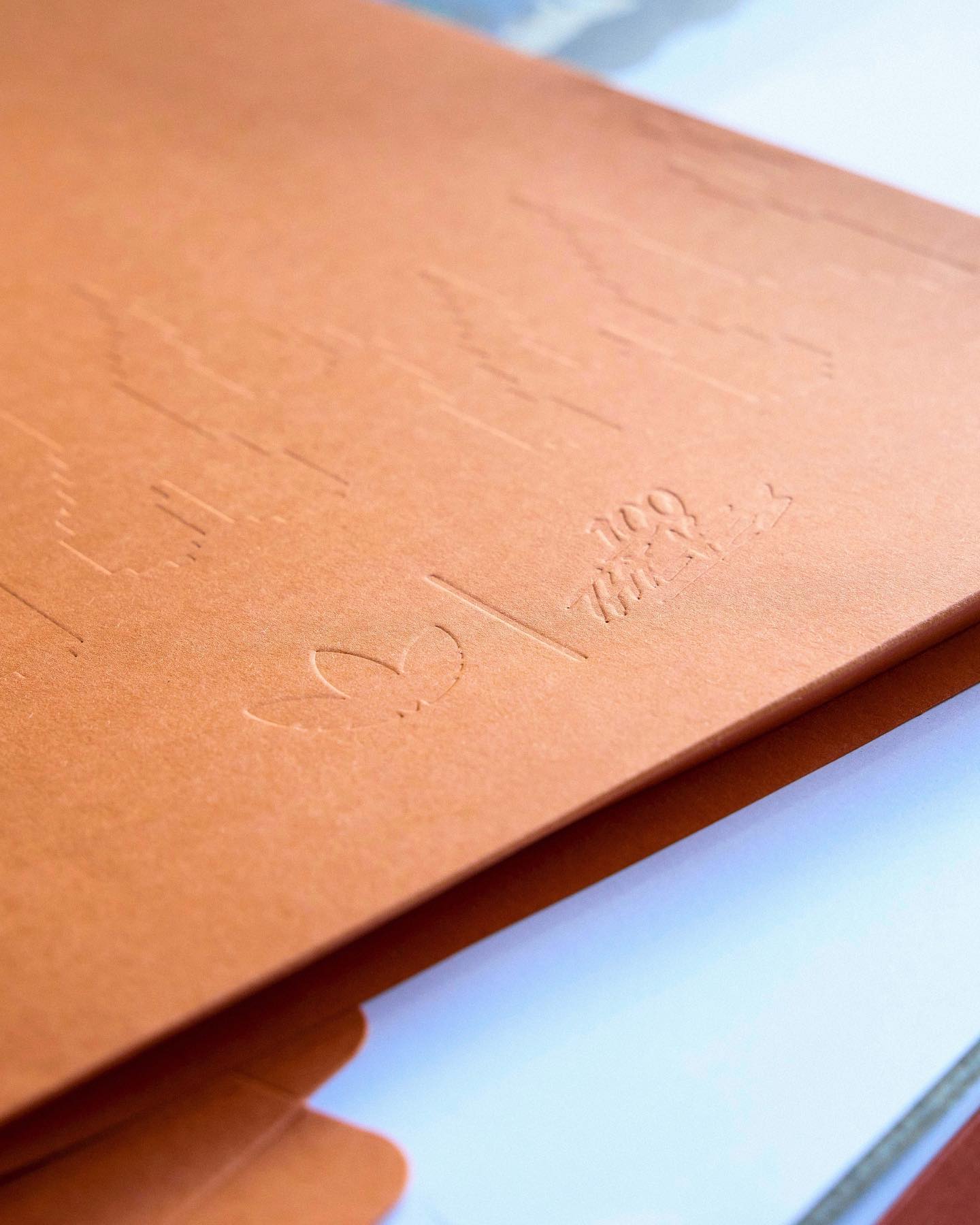 100 Thieves campaign still